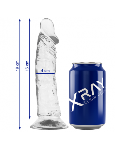 X RAY - HARNAIS + BITE TRANSPARENT 19 CM -O- 4 CM